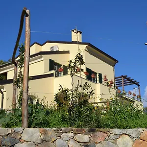 Joie De Vivre Italia